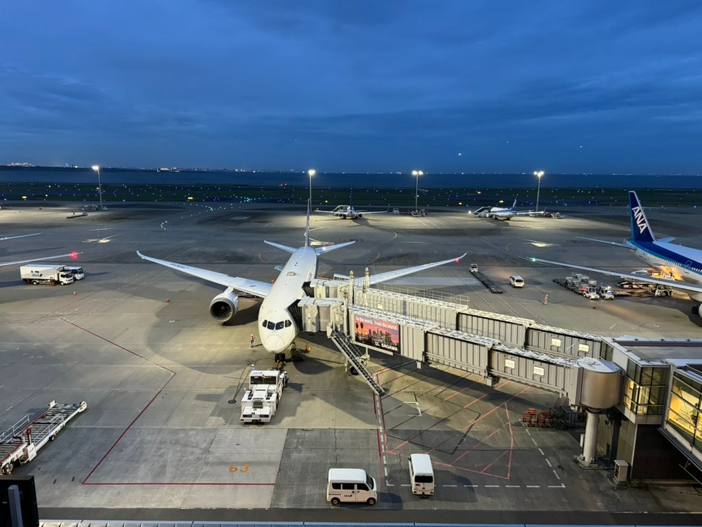 Haneda Airport at Dusk